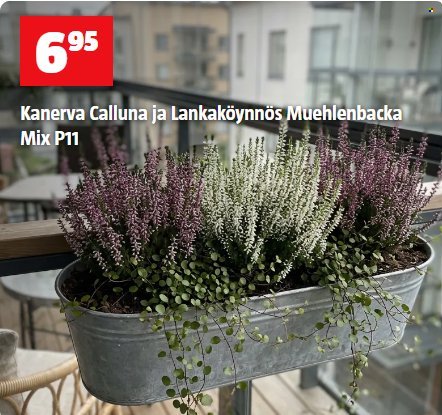 BAUHAUS tarjoukset - Lokakuu 2026