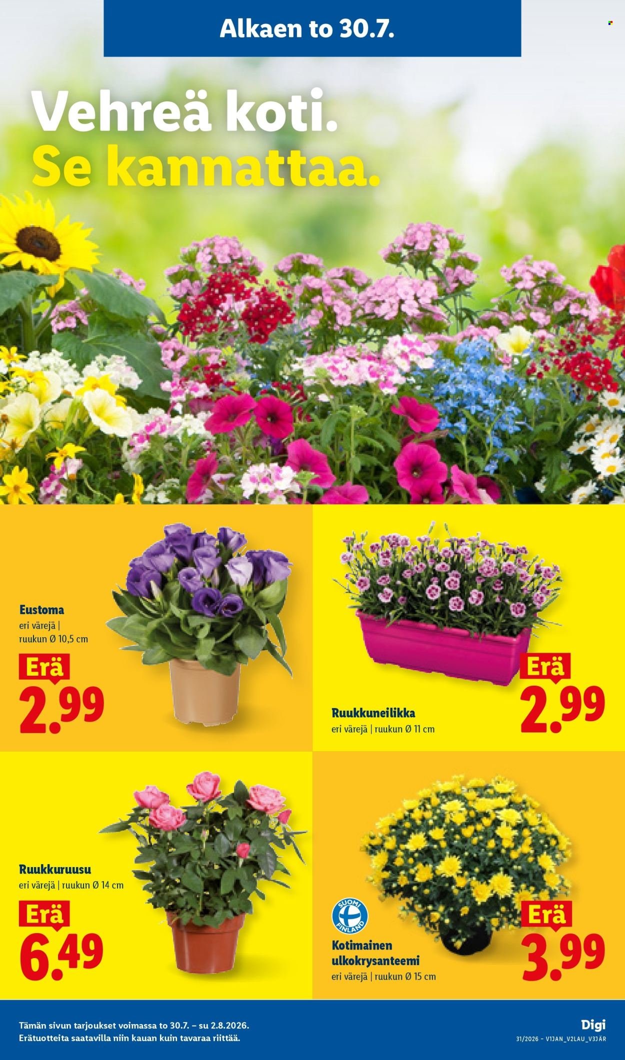 LIDL tarjoukset - Alkaen TO 30.7.2026