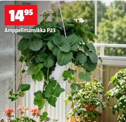 BAUHAUS tarjoukset - Heinäkuu 2026