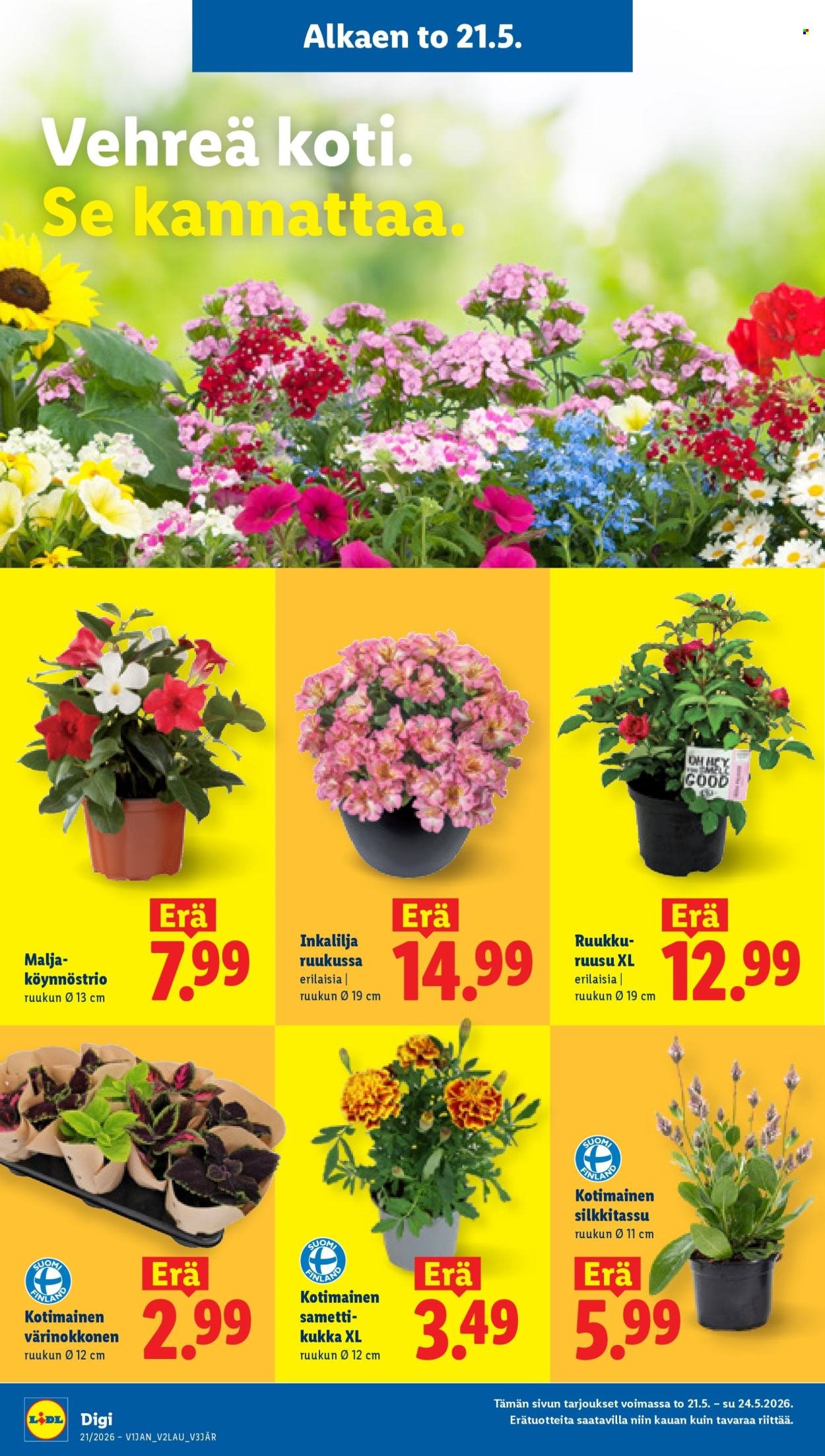 LIDL tarjoukset - Alkaen TO 21.5.2026