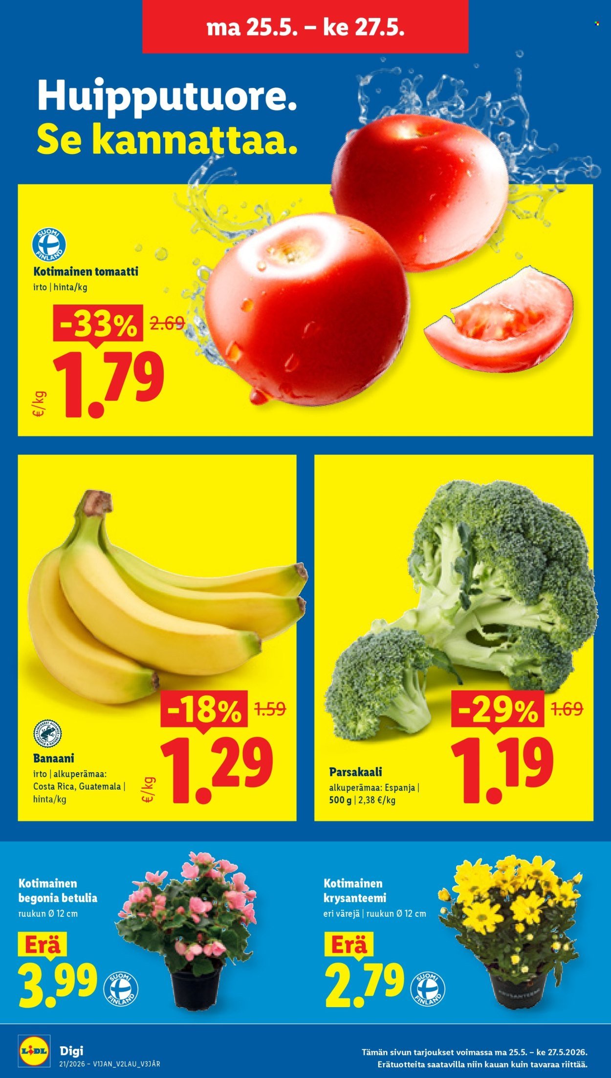 LIDL tarjoukset - Alkaen TO 21.5.2026