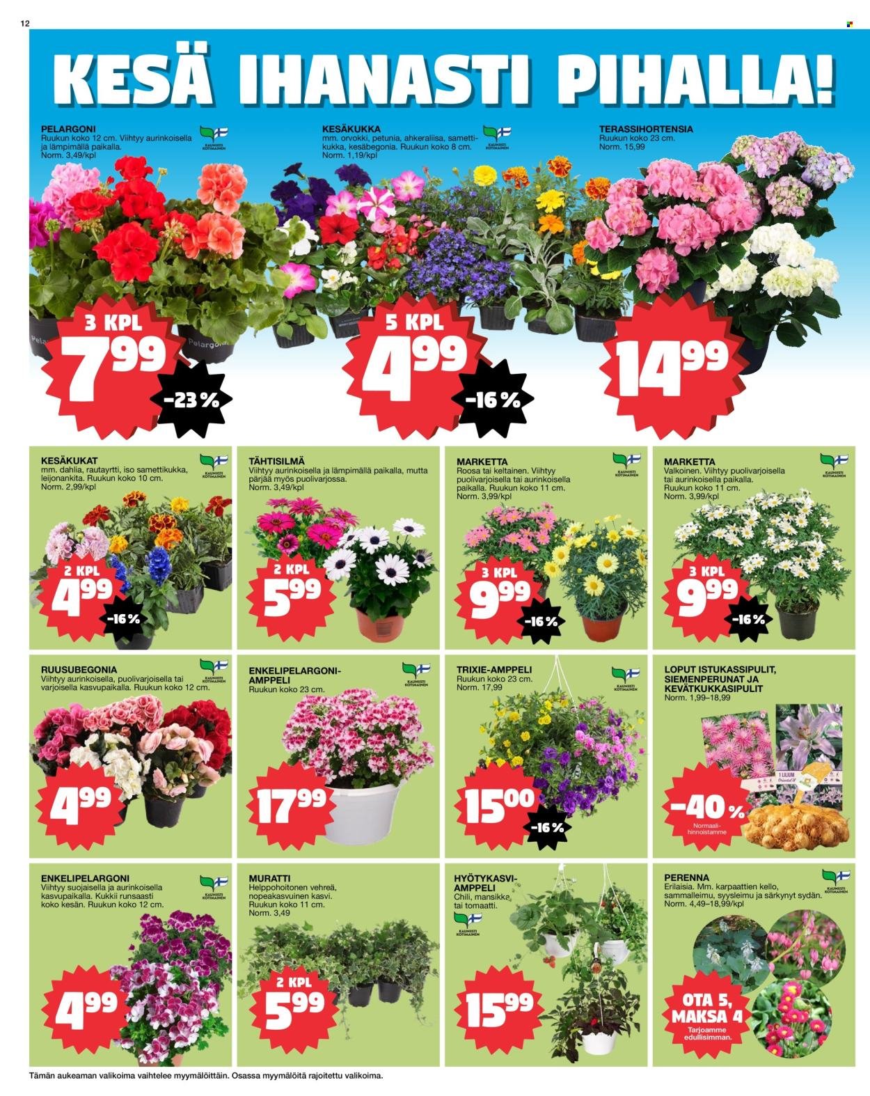TOKMANNI tarjoukset - https://tarjoussanomat.tokmanni.fi/Tarjoussanomat/?page=1