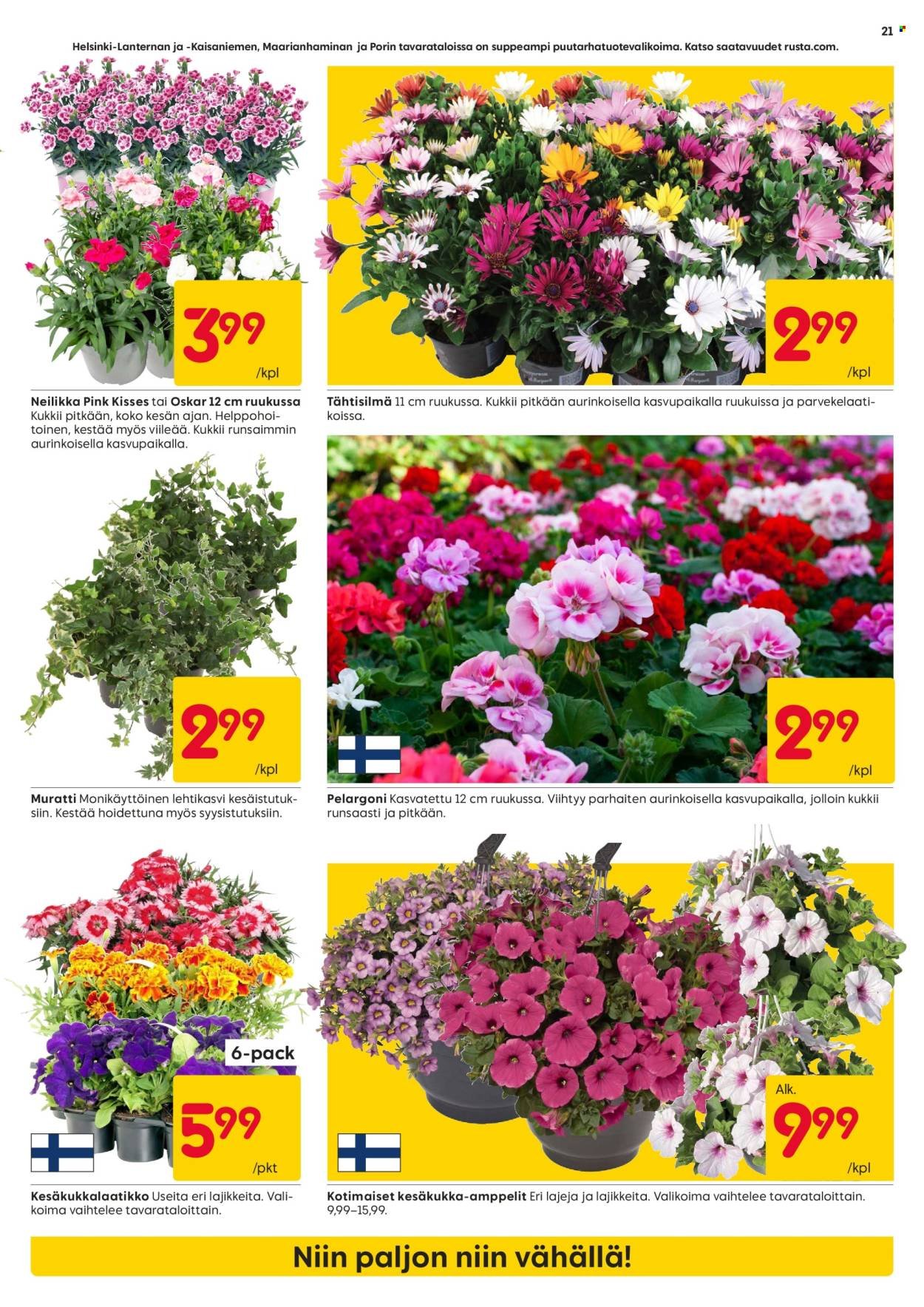 RUSTA tarjoukset - Alkaen MA 4.5.2026
