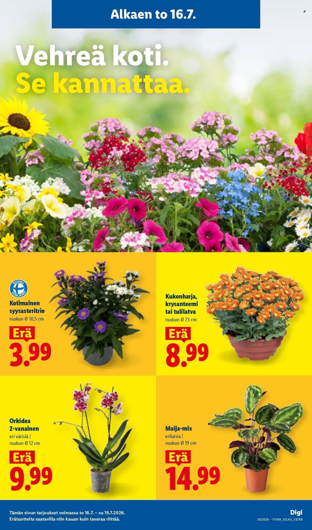 LIDL tarjoukset - Koko Suomen tarjoukset