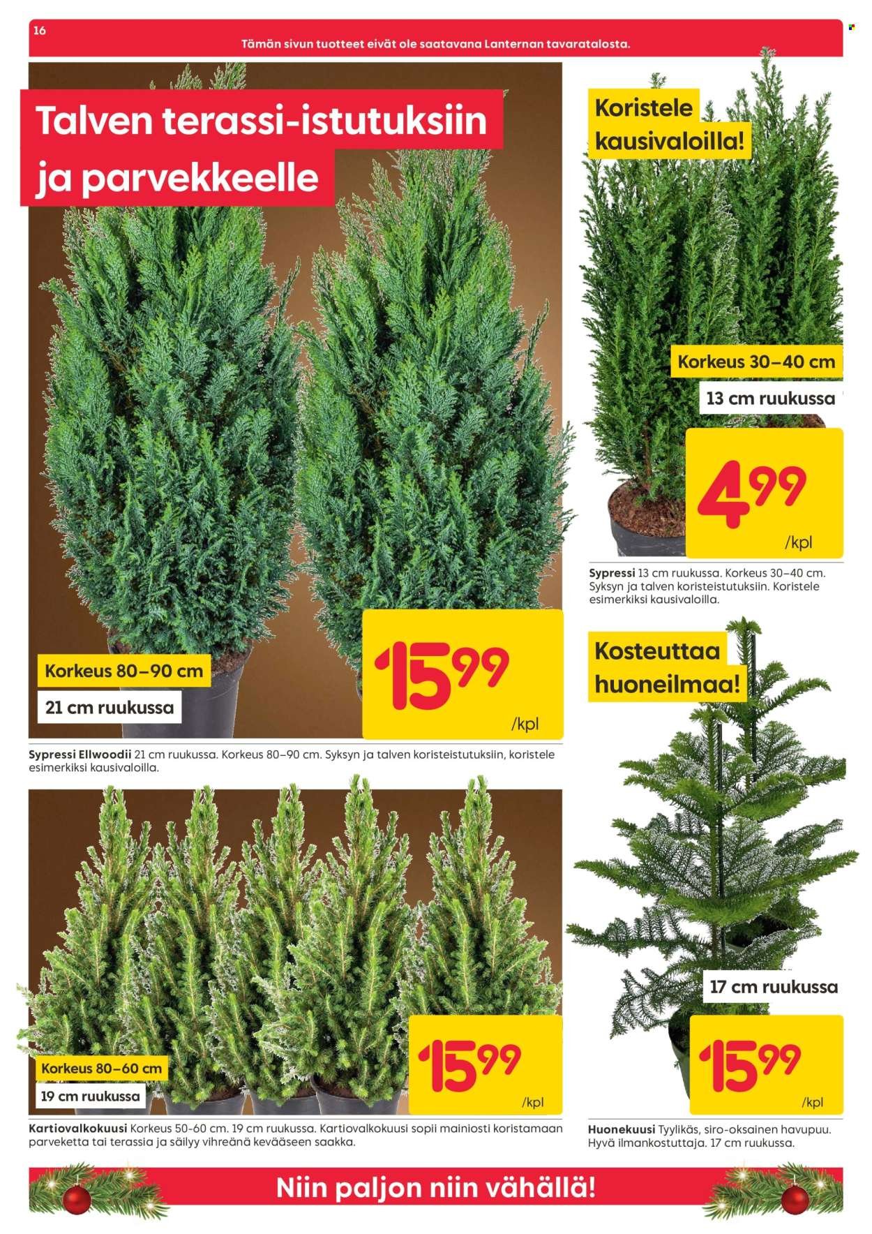 RUSTA tarjoukset - Alkaen MA 10.11.2025 (2025-11-10 - 2025-11-16)