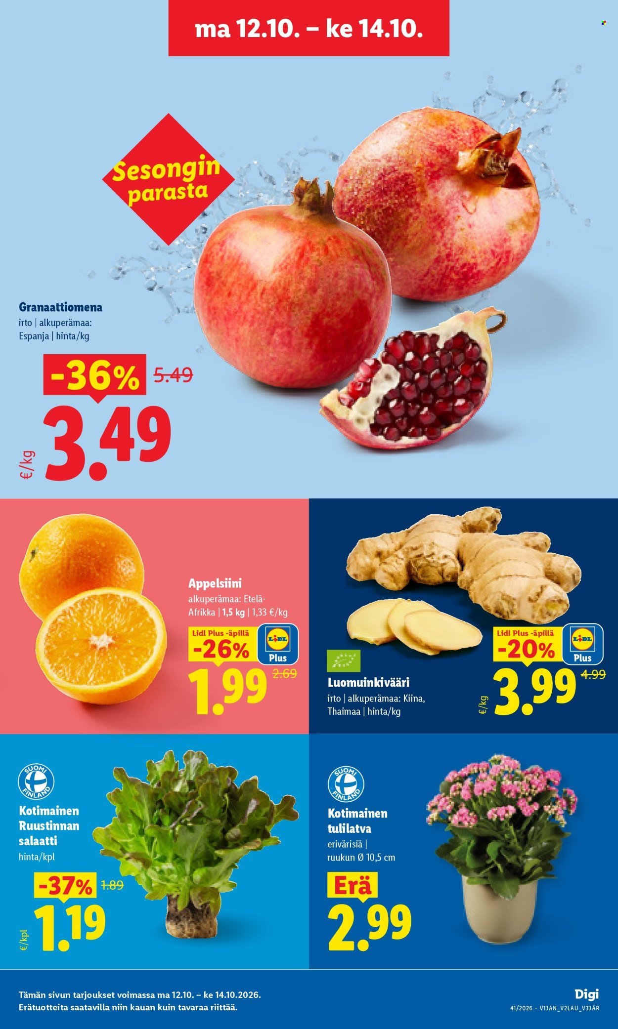 LIDL tarjoukset - Alkaen MA 12.10.2026