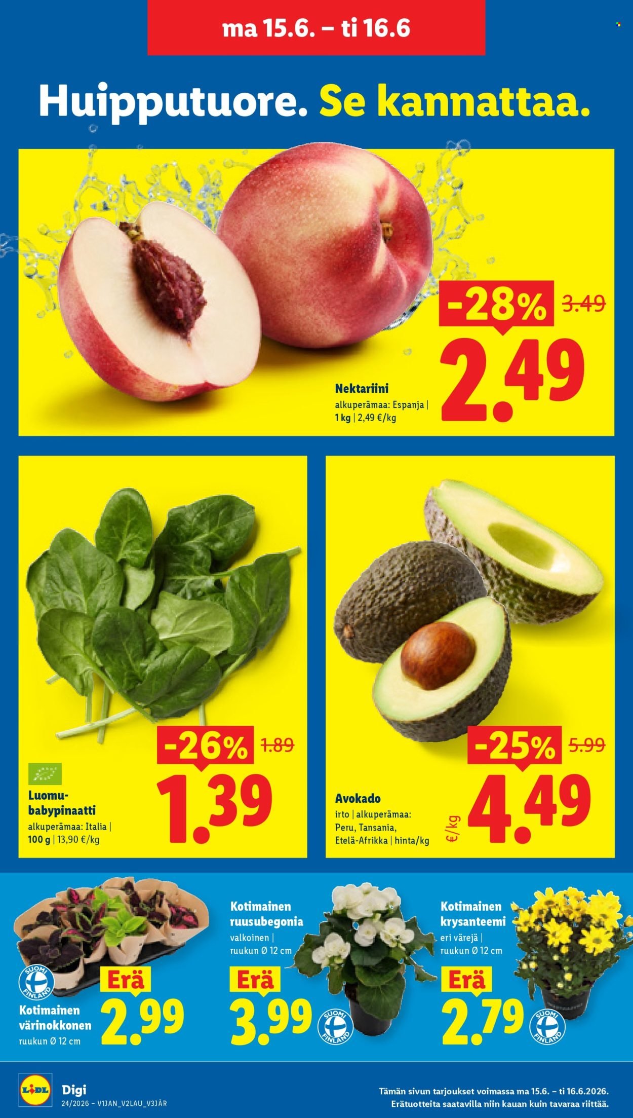 LIDL tarjoukset - Alkaen TO 11.6.2026