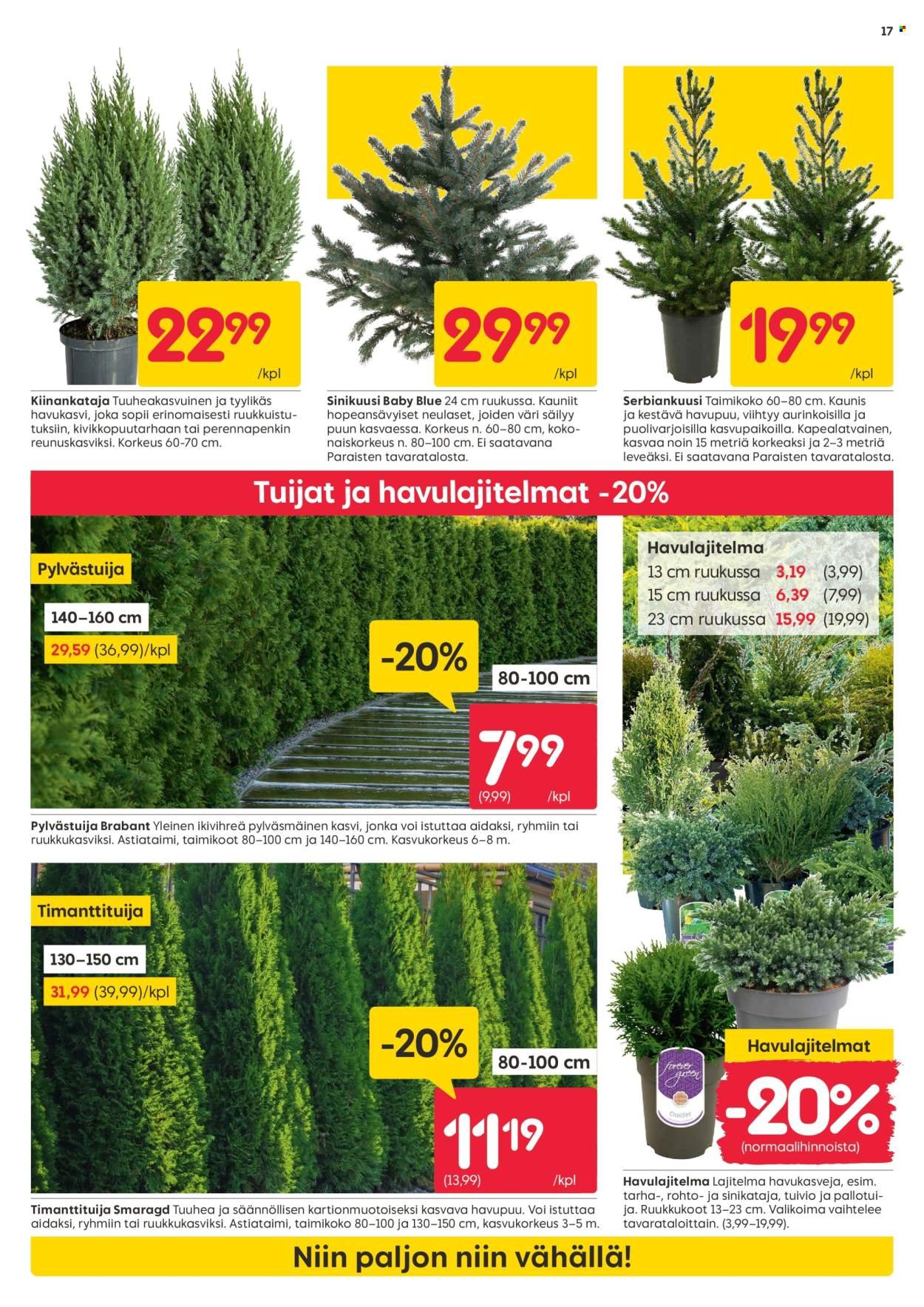 RUSTA tarjoukset - Alkaen MA 22.9.2025 (2025-09-22 - 2025-09-28)