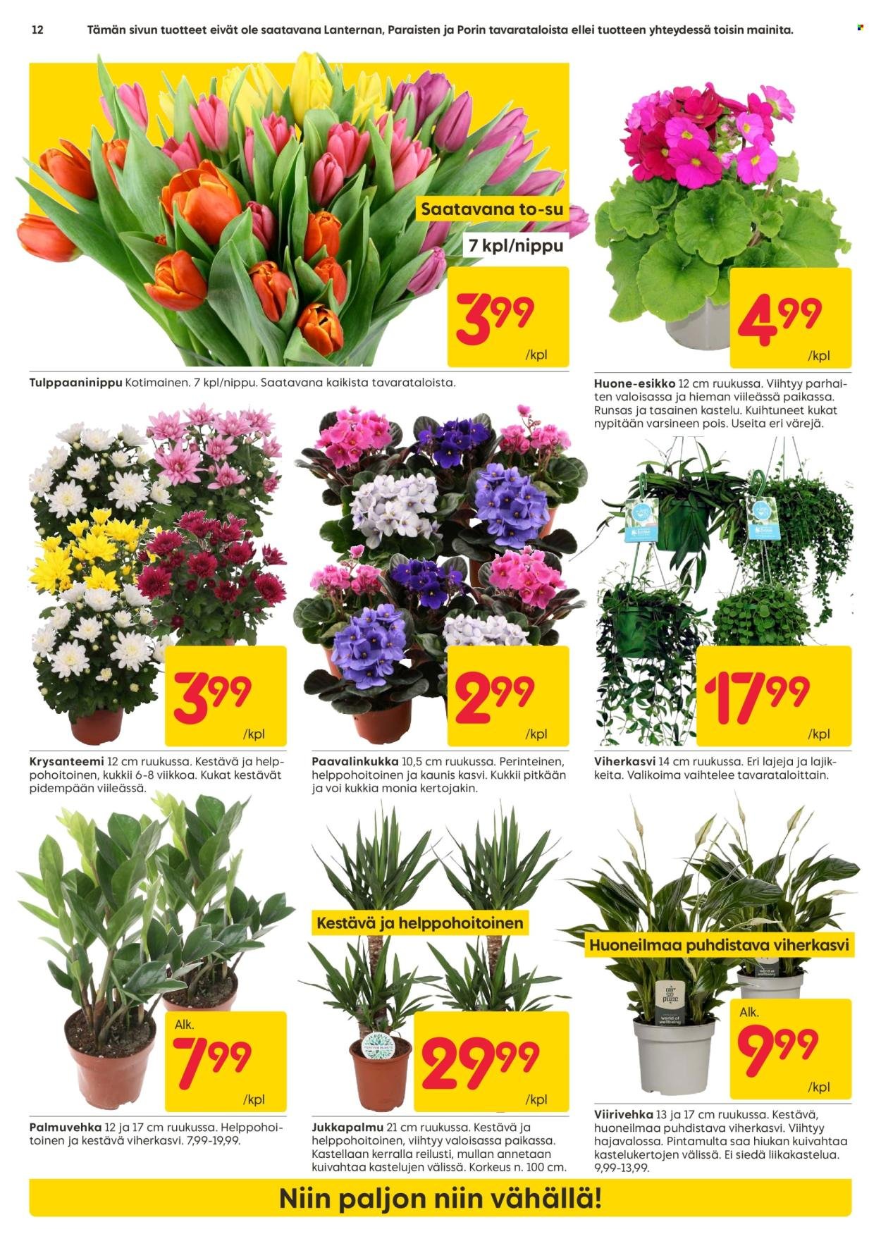 RUSTA tarjoukset - Alkaen MA 2.2.2026