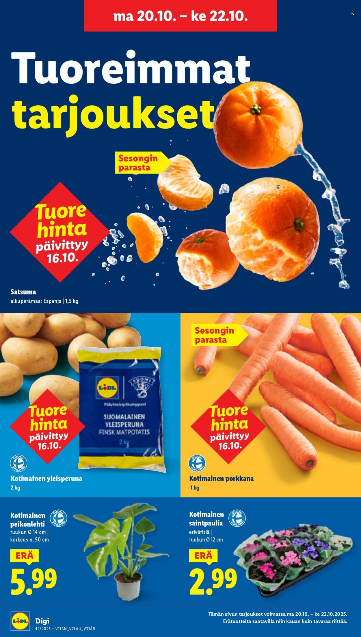 LIDL tarjoukset - Alkaen TO 16.10.2025 (2025-10-16 - 2025-10-22)