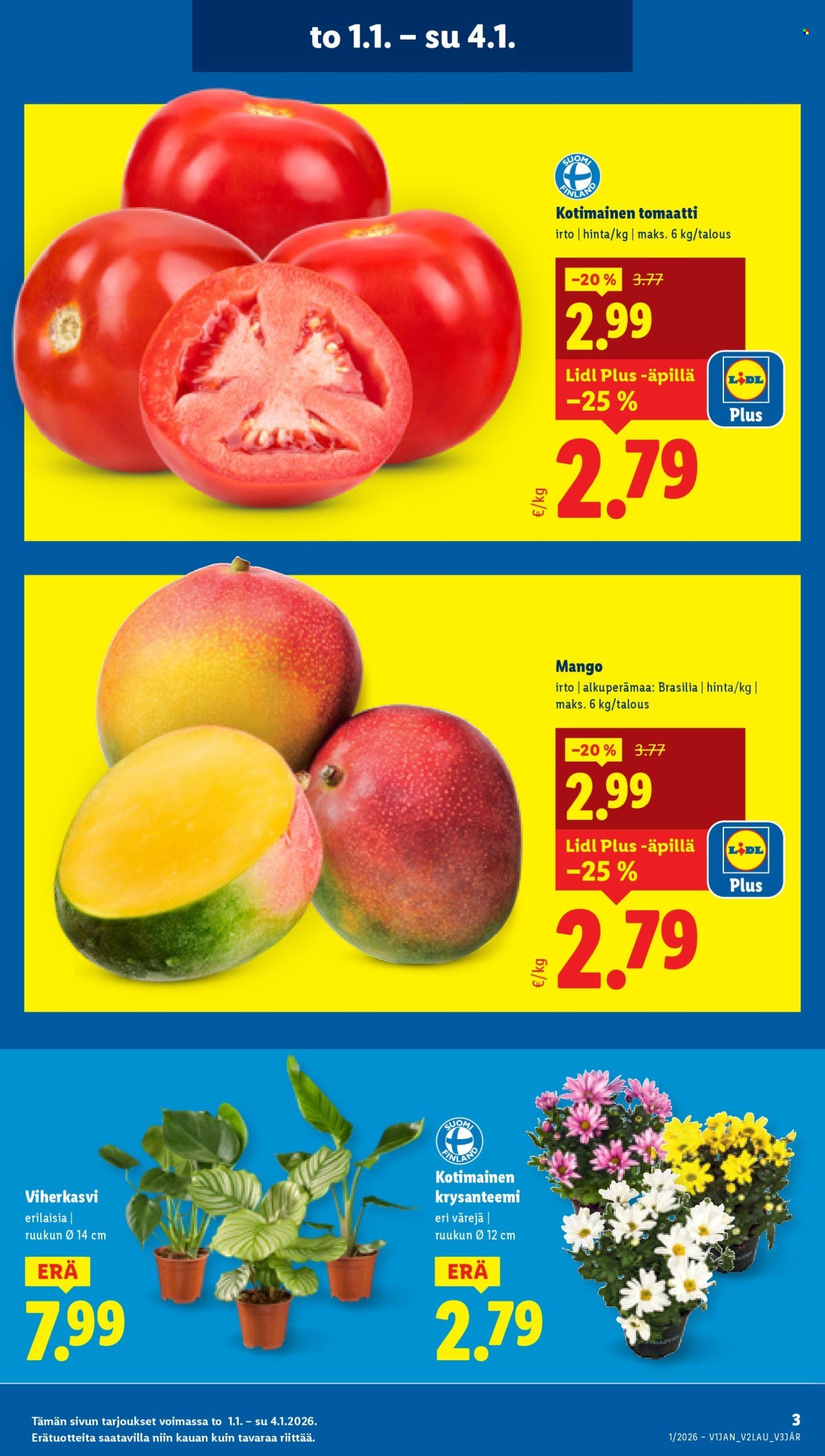 LIDL tarjoukset - Alkaen TO 1.1.2026