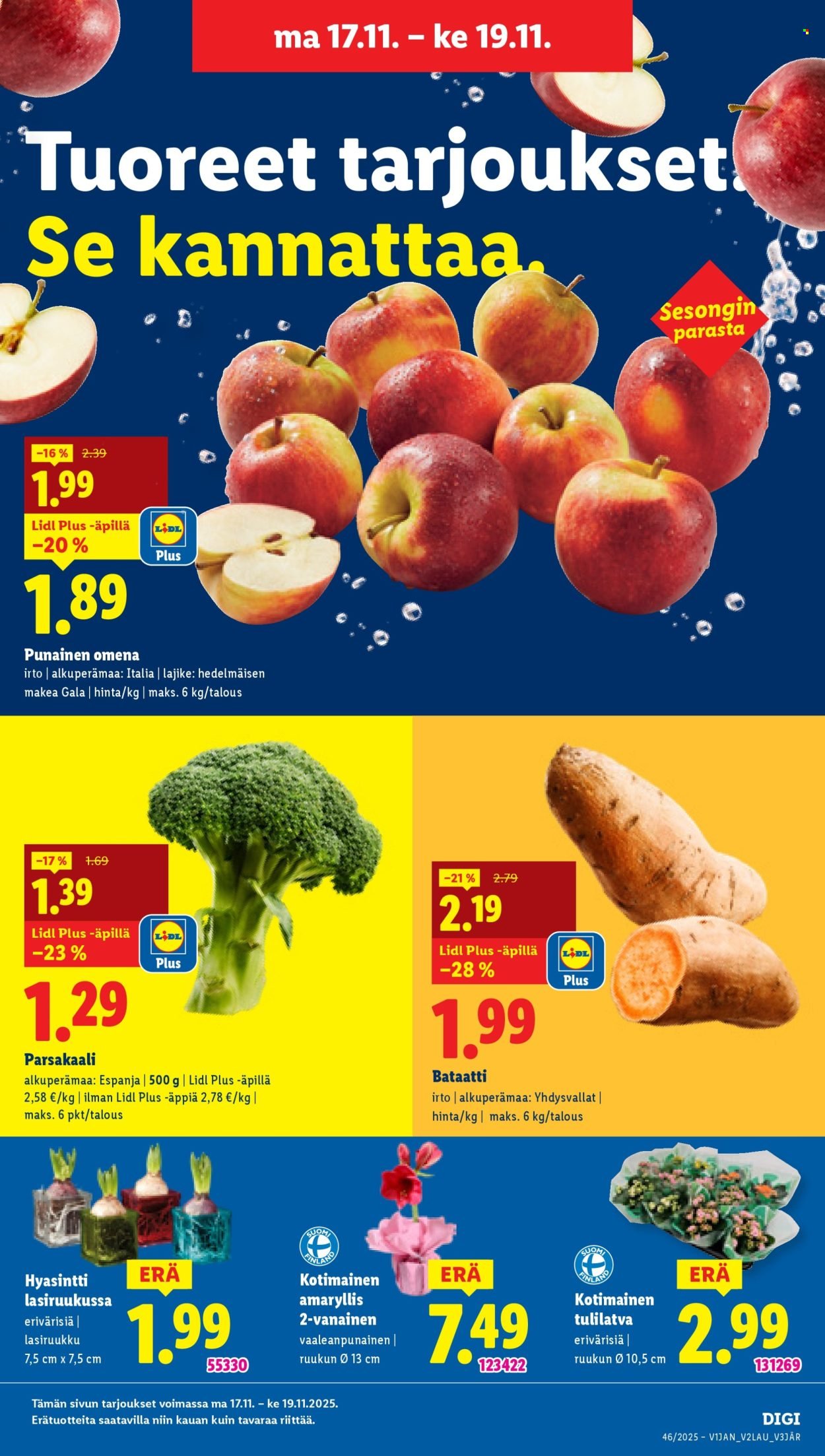 LIDL tarjoukset - Alkaen TO 13.11.2025 (2025-11-13 - 2025-11-19)