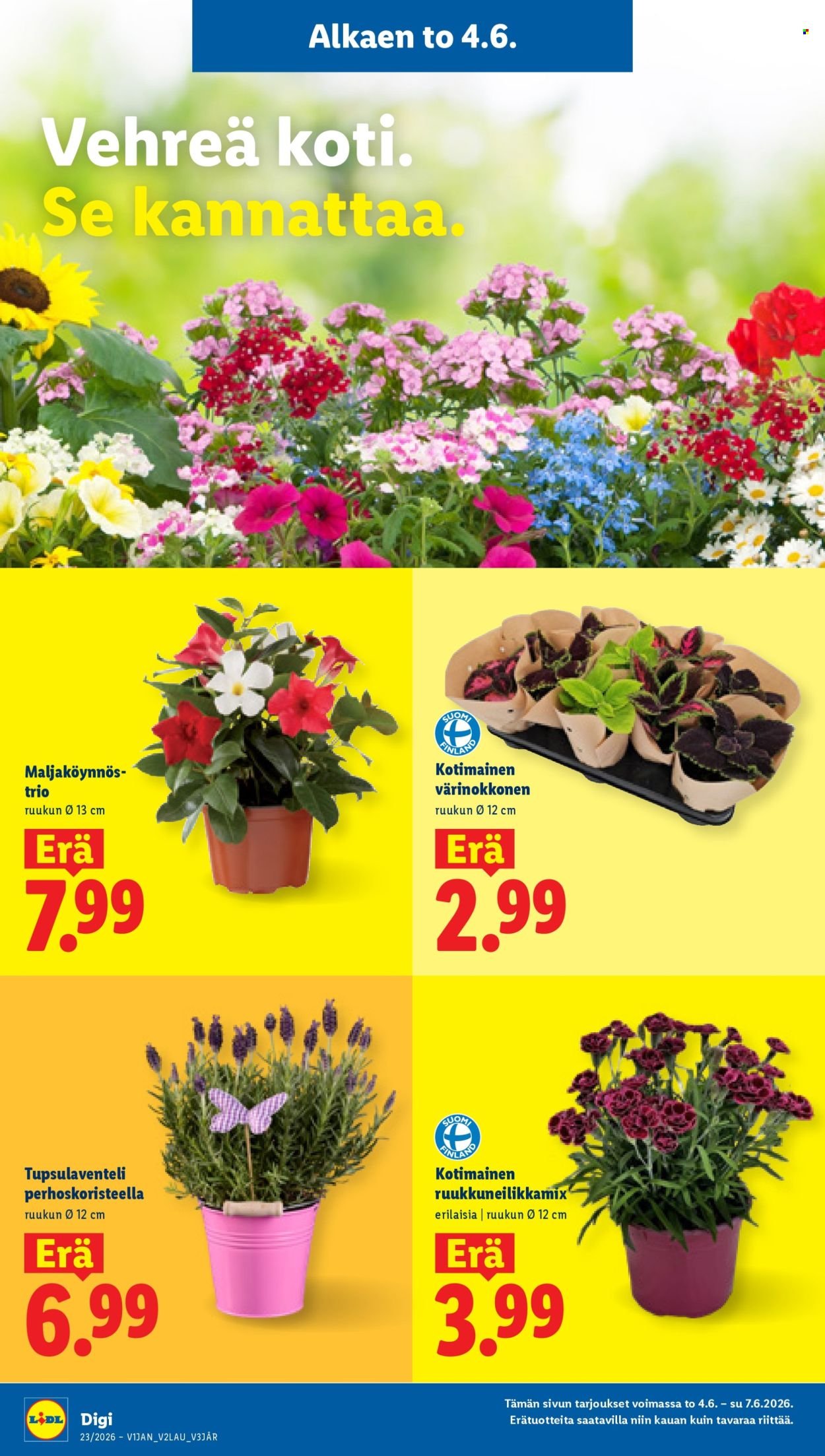 LIDL tarjoukset - Alkaen TO 4.6.2026