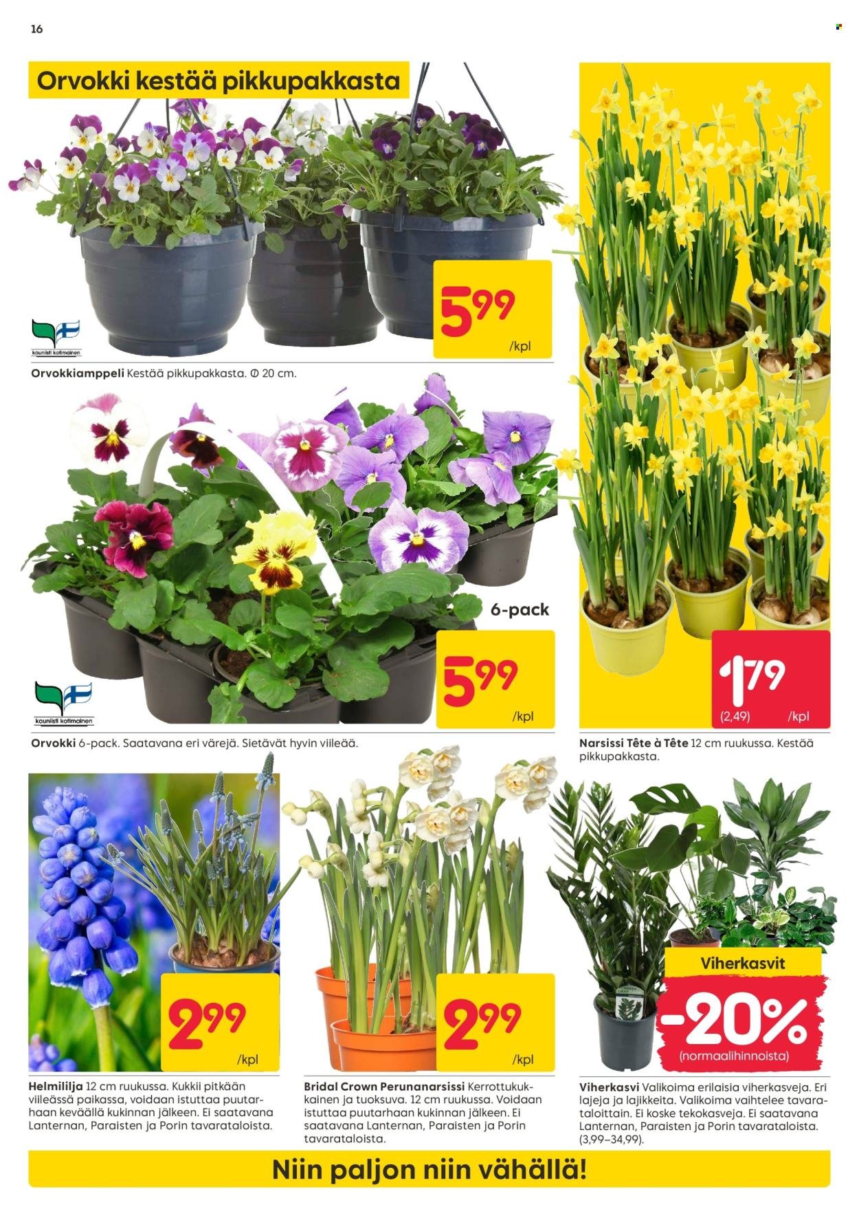 RUSTA tarjoukset - Alkaen MA 23.3.2026