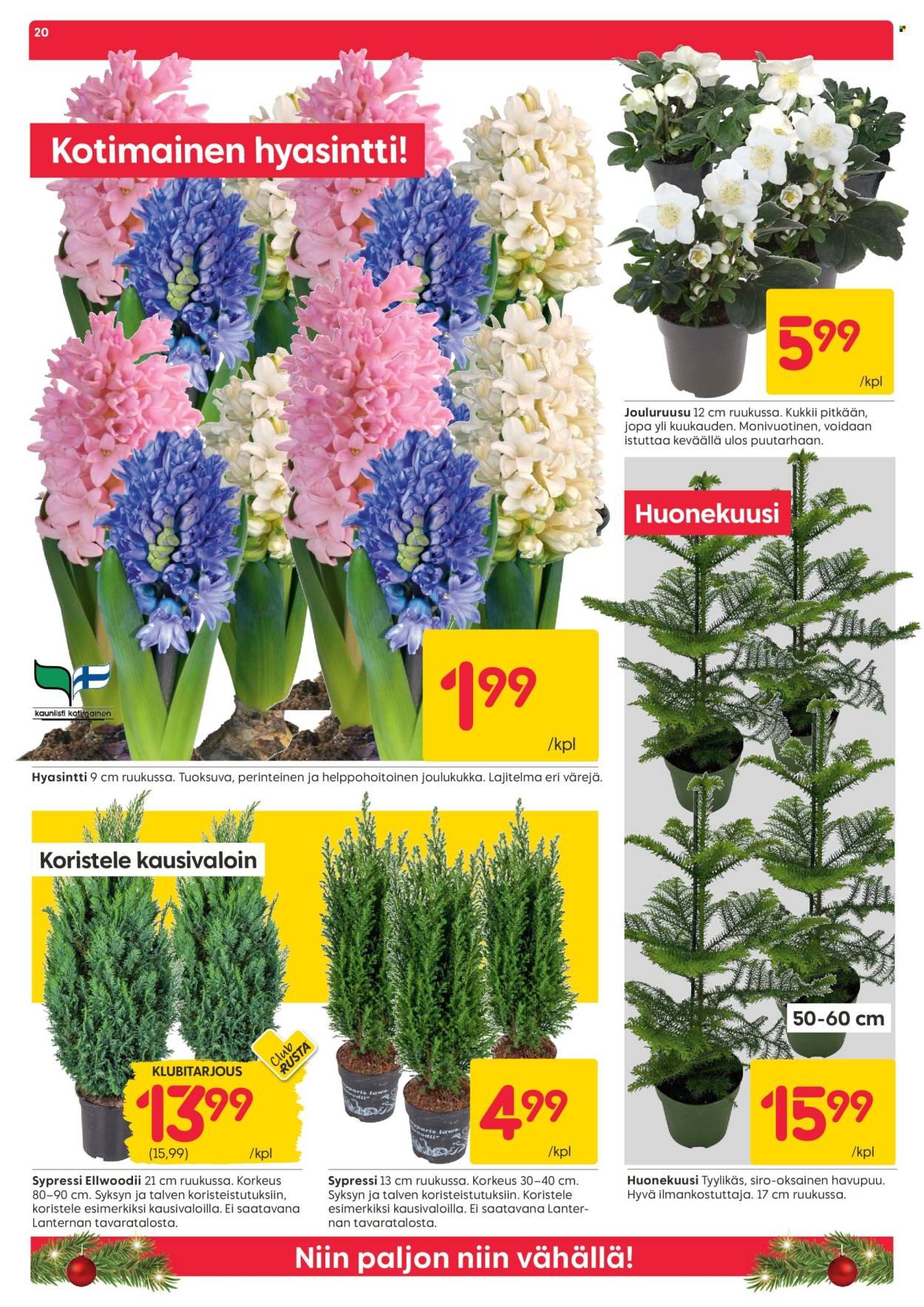 RUSTA tarjoukset - Alkaen MA 17.11.2025 (2025-11-17 - 2025-11-23)