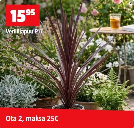 BAUHAUS tarjoukset - Kesäkuu 2026