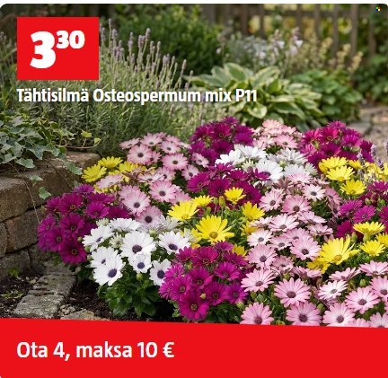 BAUHAUS tarjoukset - Kesäkuu 2026