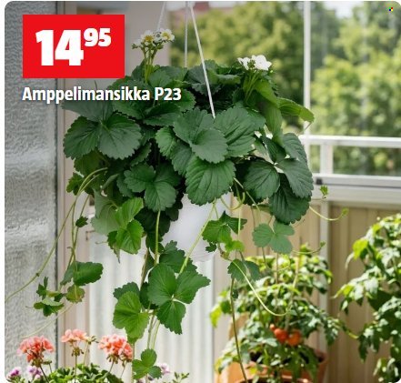 BAUHAUS tarjoukset - Kesäkuu 2026