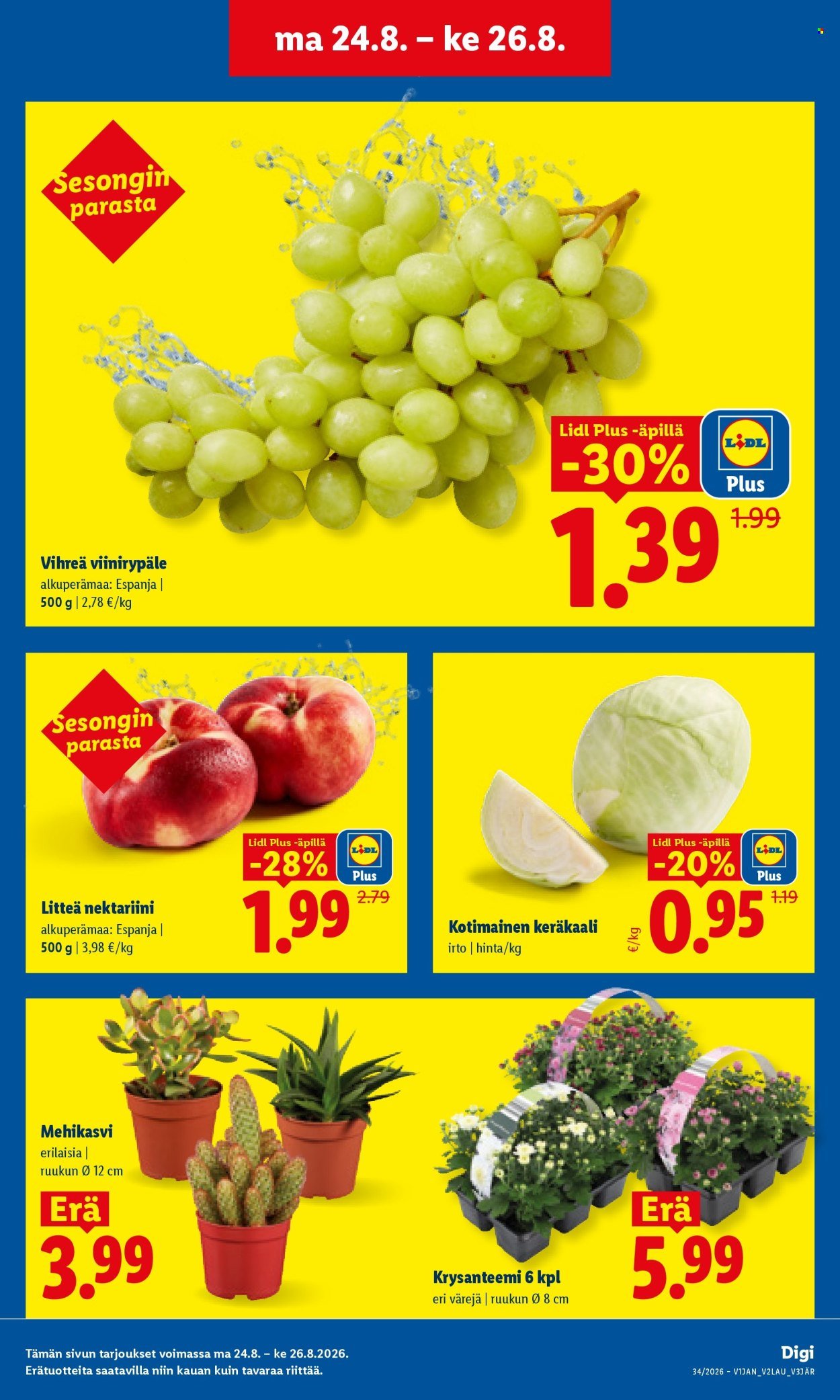 LIDL tarjoukset - Alkaen MA 24.8.2026
