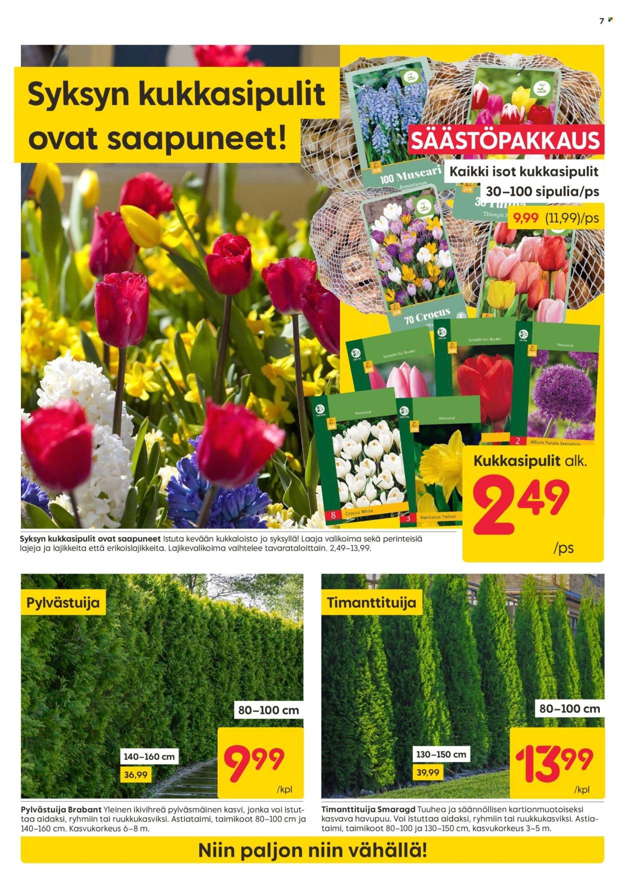 RUSTA tarjoukset - Alkaen MA 8.9.2025 (2025-09-08 - 2025-09-14)