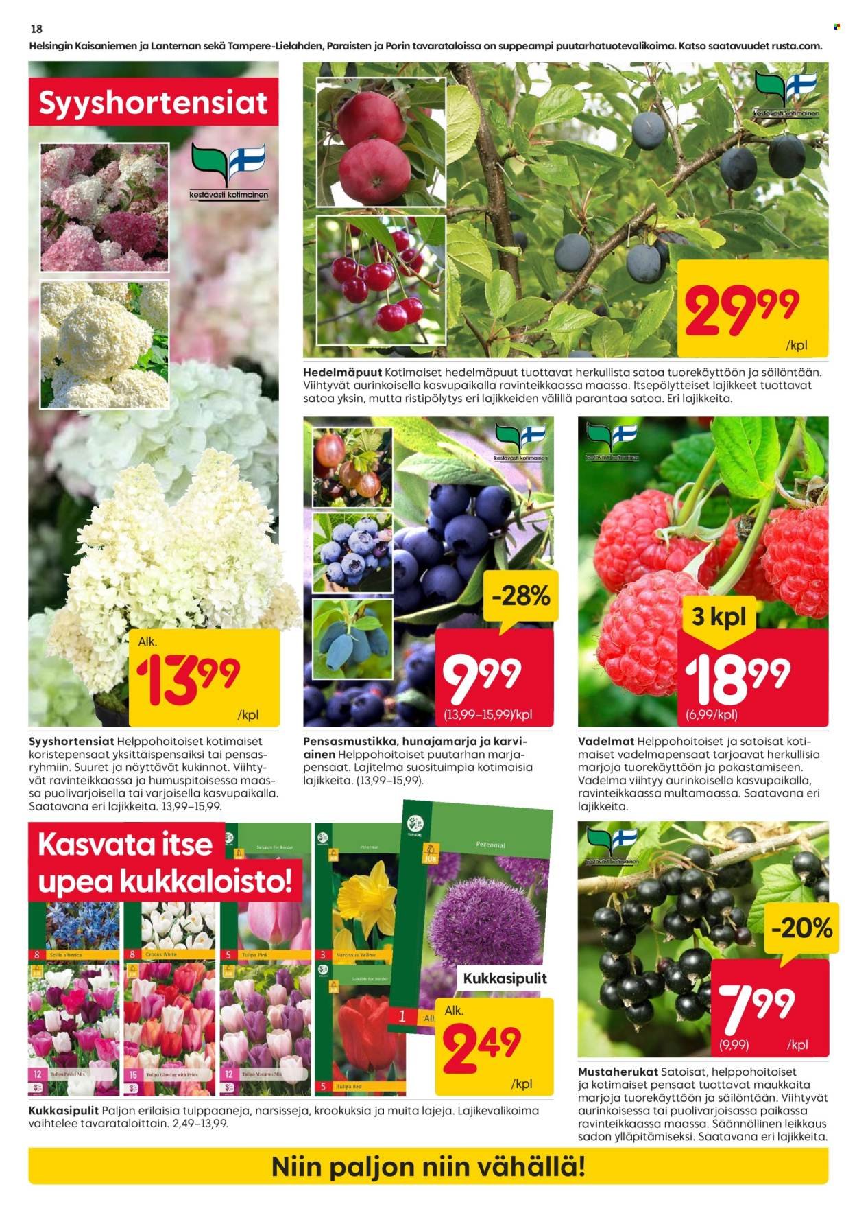 RUSTA tarjoukset - Alkaen MA 21.9.2026