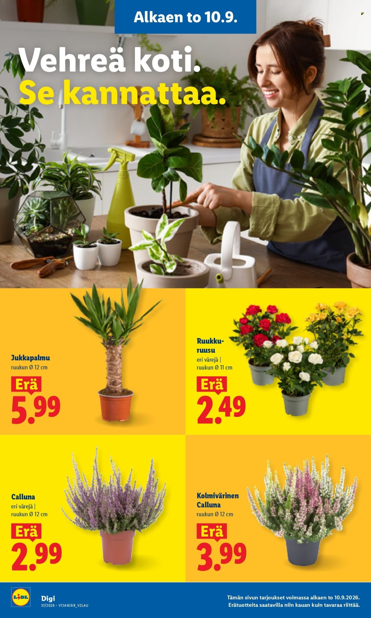 LIDL tarjoukset - Alkaen TO 10.9.2026