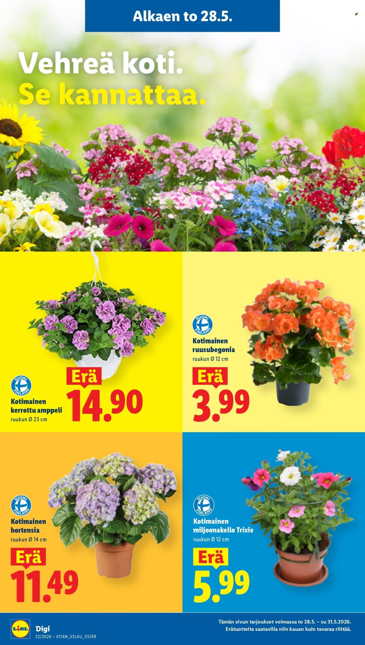 LIDL tarjoukset - Alkaen TO 28.5.2026