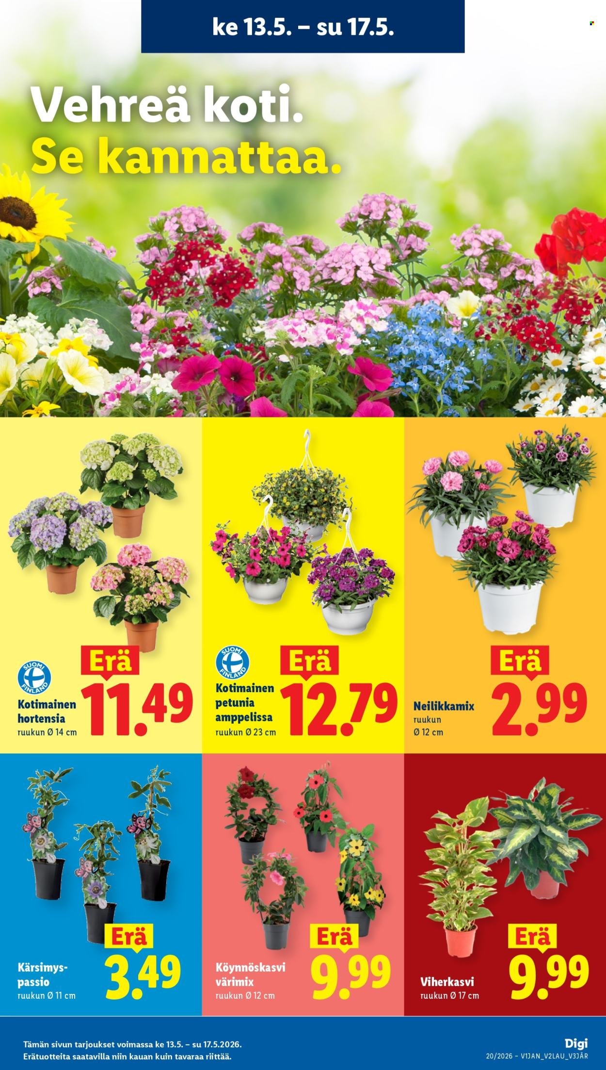 LIDL tarjoukset - Alkaen KE 13.5.2026