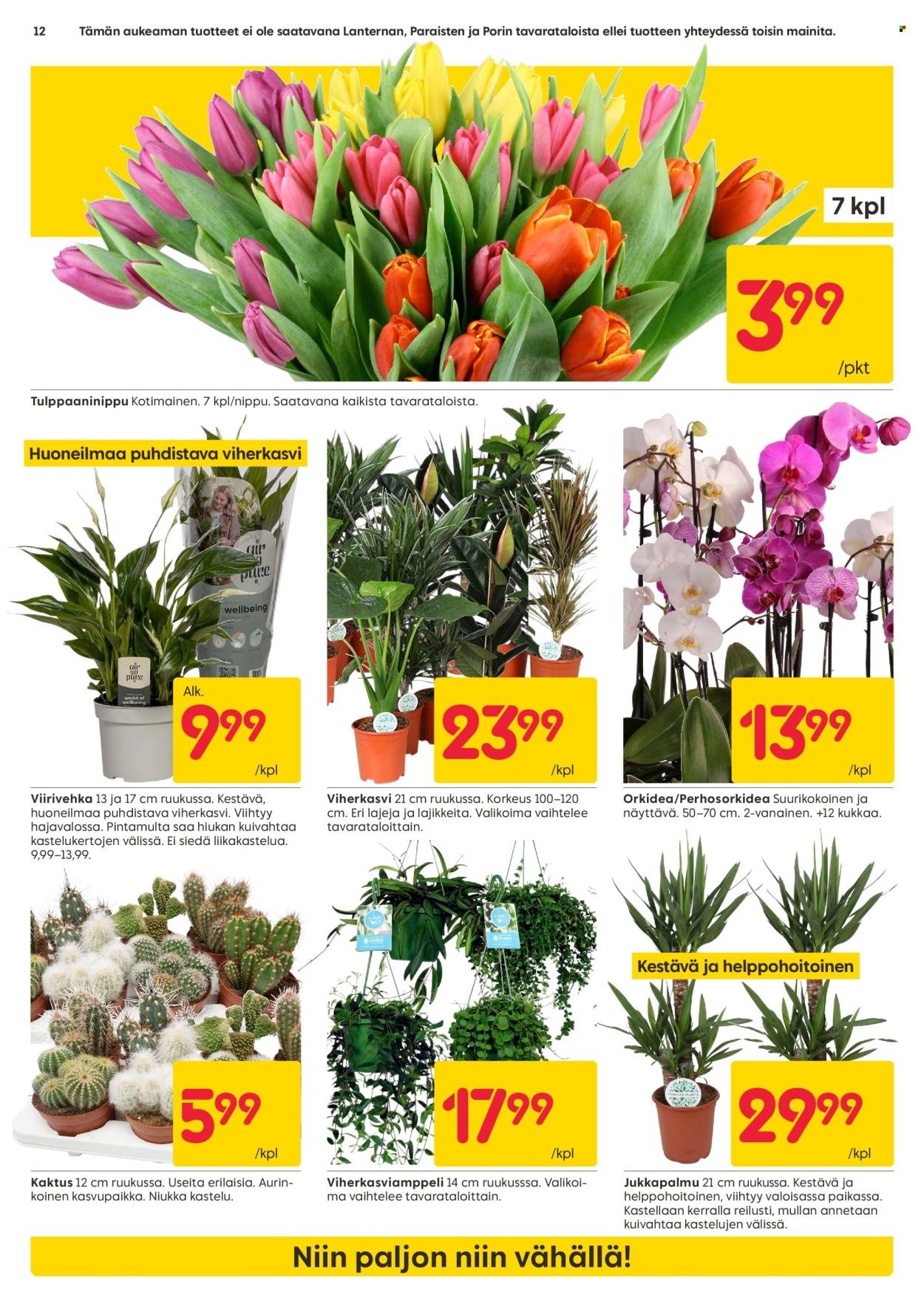 RUSTA tarjoukset - Alkaen MA 12.1.2026