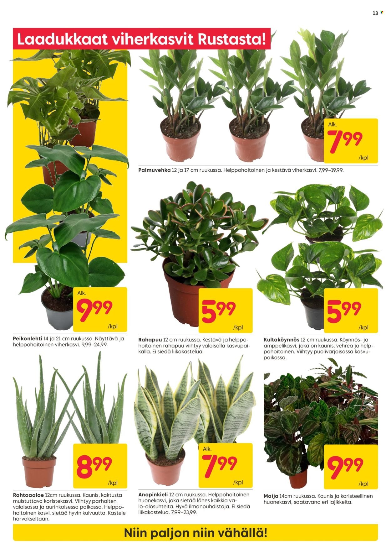 RUSTA tarjoukset - Alkaen MA 12.1.2026