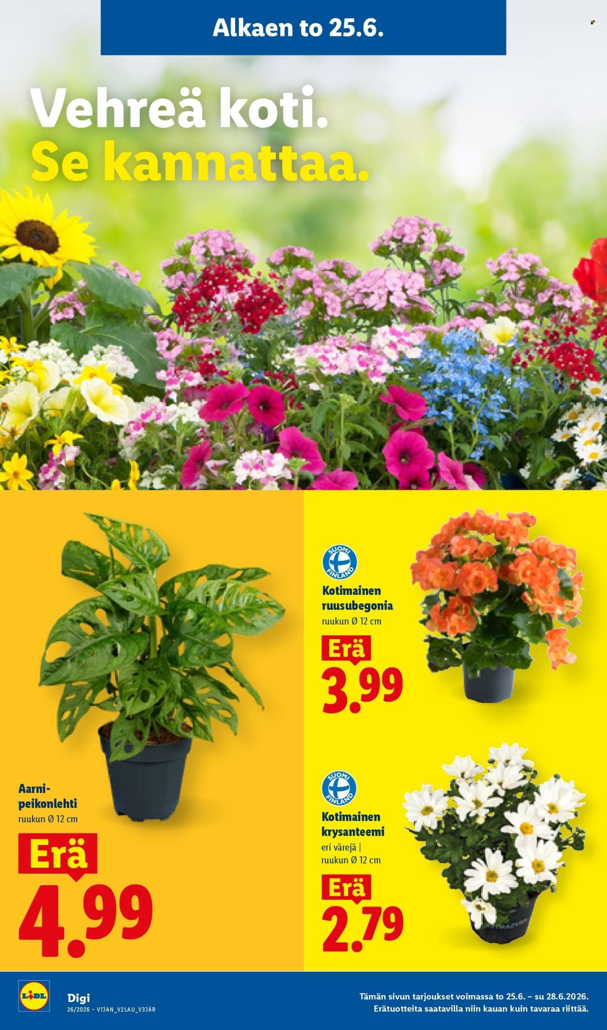 LIDL tarjoukset - Alkaen TO 25.6.2026