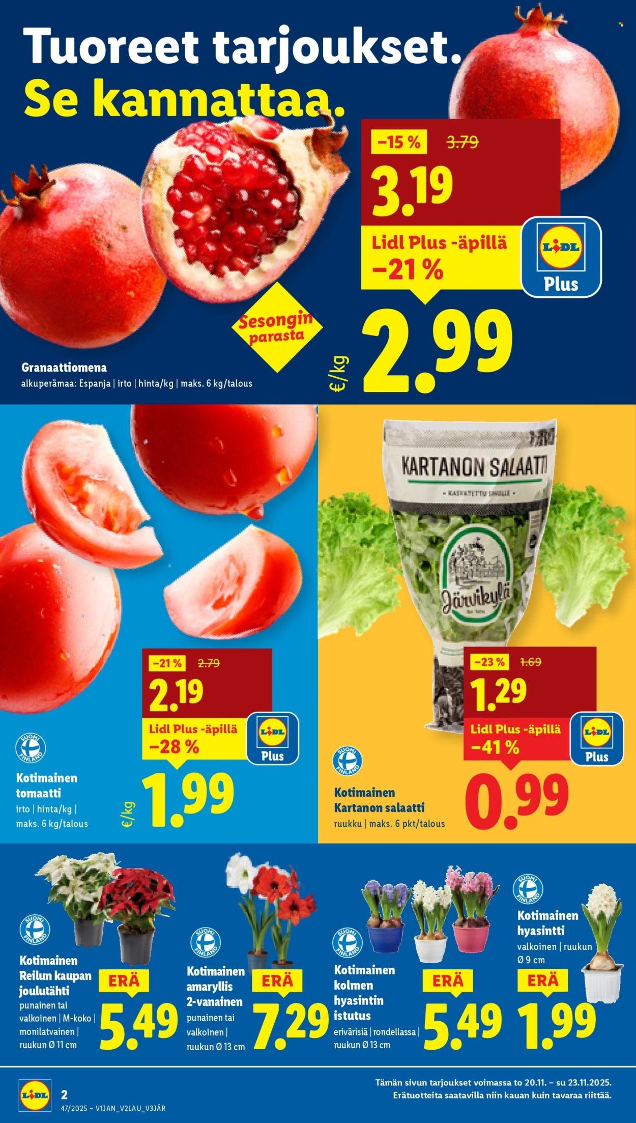 LIDL tarjoukset - Alkaen TO 20.11.2025 (2025-11-20 - 2025-11-26)