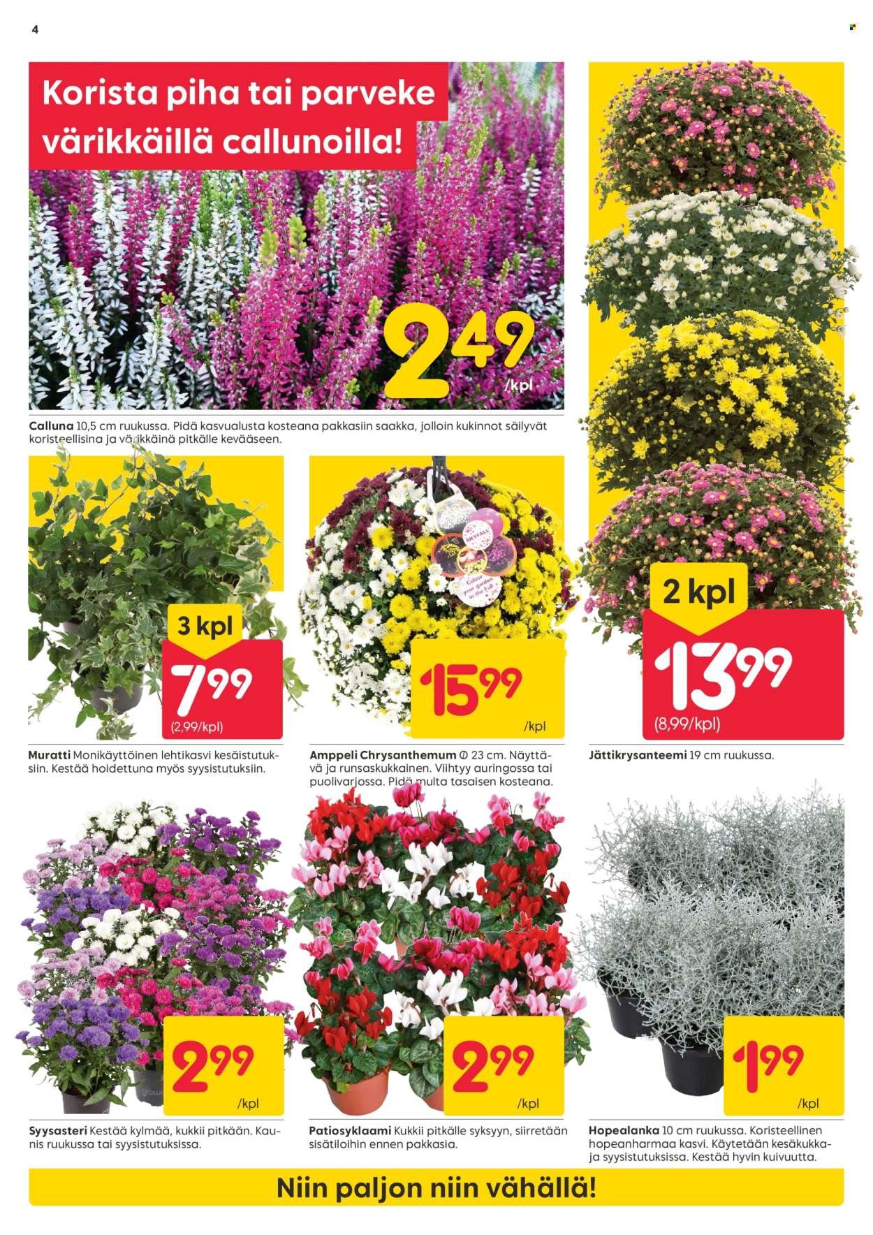 RUSTA tarjoukset - Alkaen MA 28.7.2025 (2025-07-28 - 2025-08-10)