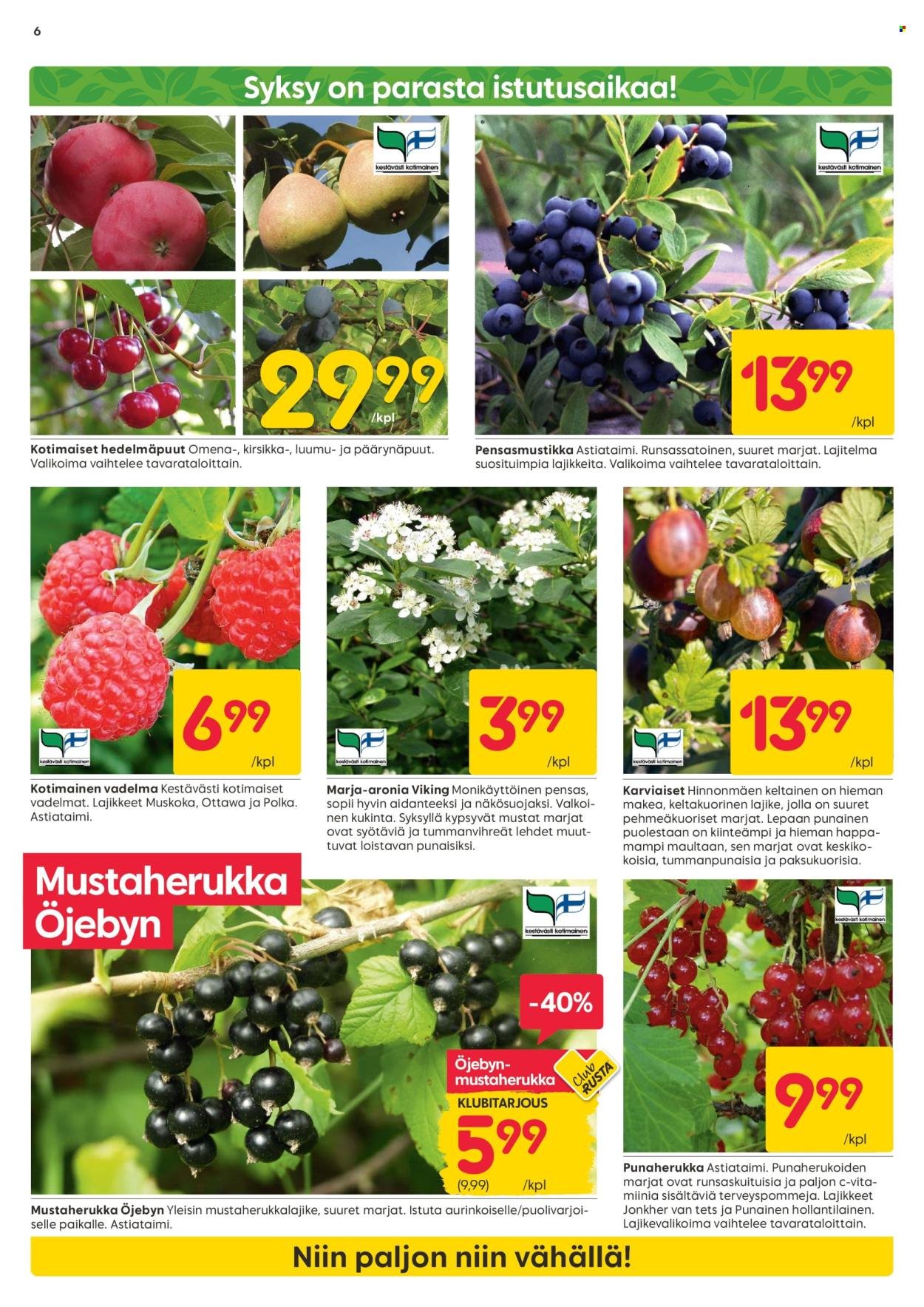 RUSTA tarjoukset - Alkaen MA 28.7.2025 (2025-07-28 - 2025-08-10)
