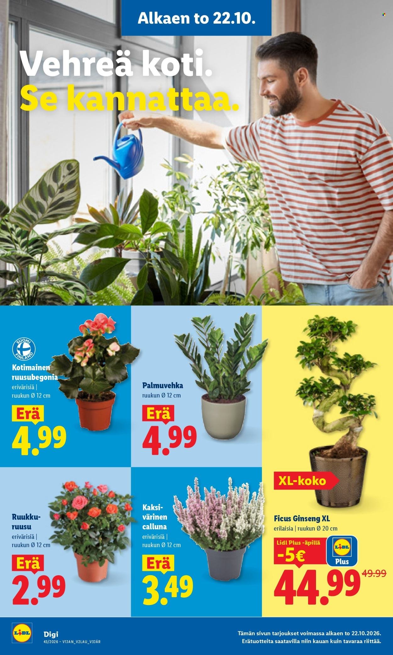 LIDL tarjoukset - Alkaen TO 22.10.2026