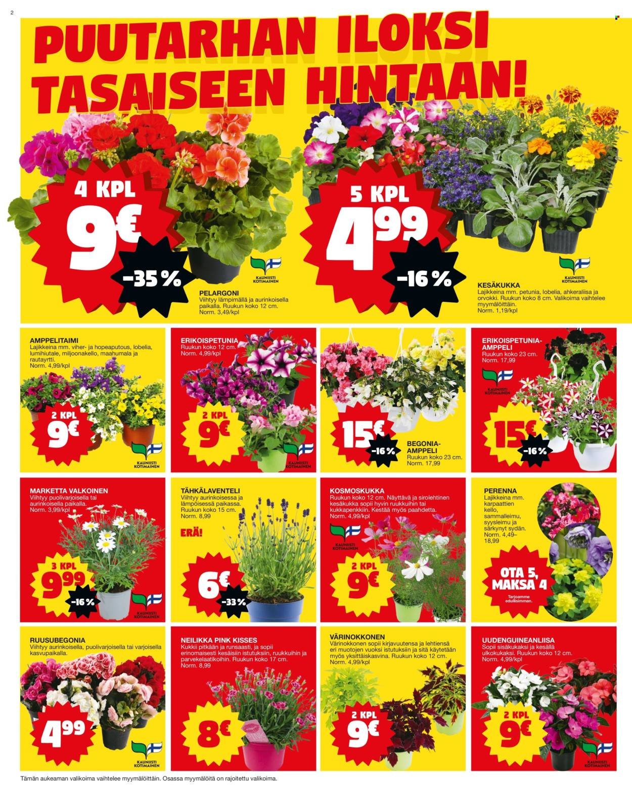 TOKMANNI tarjoukset - Tarjoussanomat