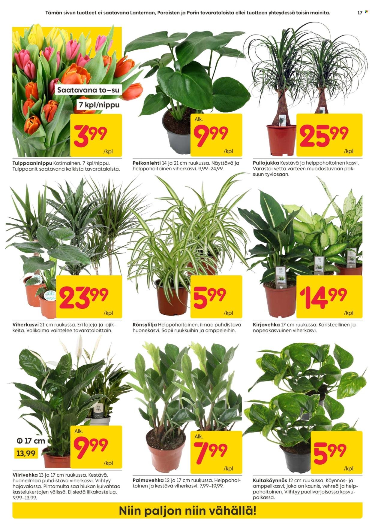 RUSTA tarjoukset - Alkaen MA 19.1.2026