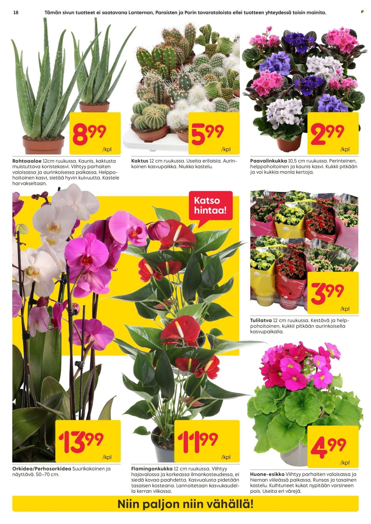 RUSTA tarjoukset - Alkaen MA 19.1.2026