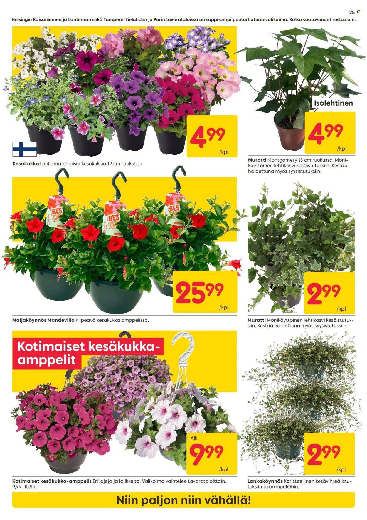RUSTA tarjoukset - Alkaen MA 11.5.2026