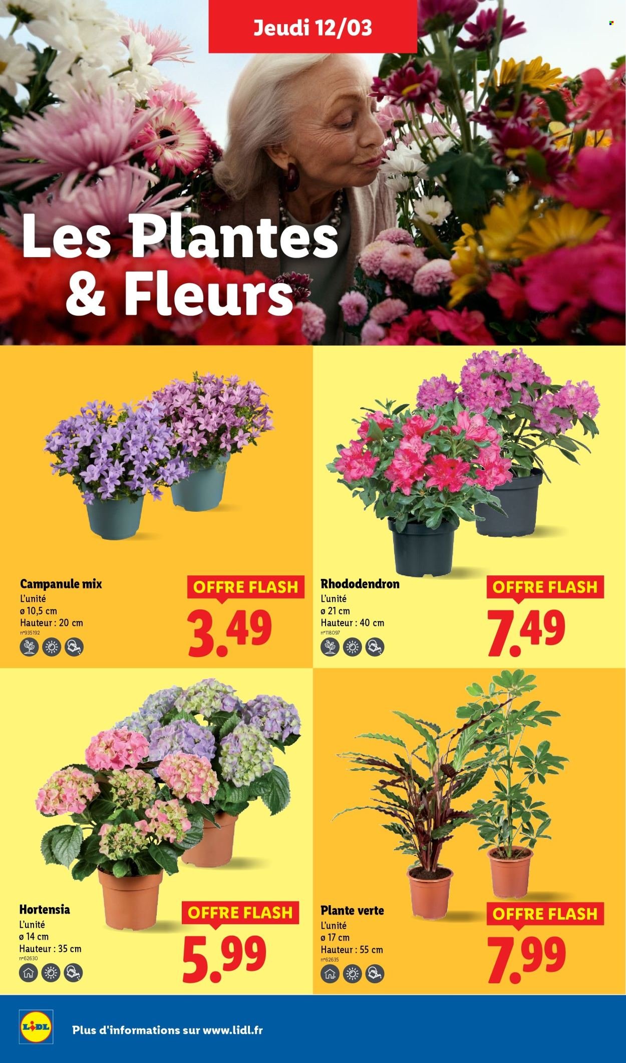 Catalogue LIDL - Les promos de la semaine (2026-03-12 - 2026-03-18)
