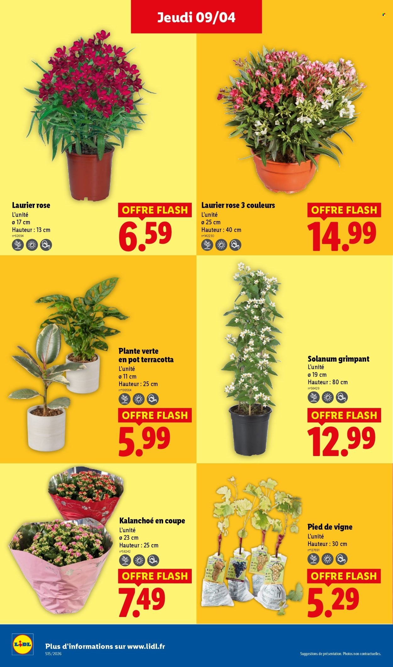 Catalogue LIDL - Les promos de la semaine (2026-04-09 - 2026-04-15)