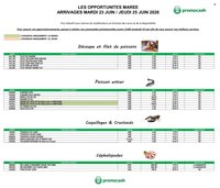 Catalogue PROMOCASH - Offre marée
