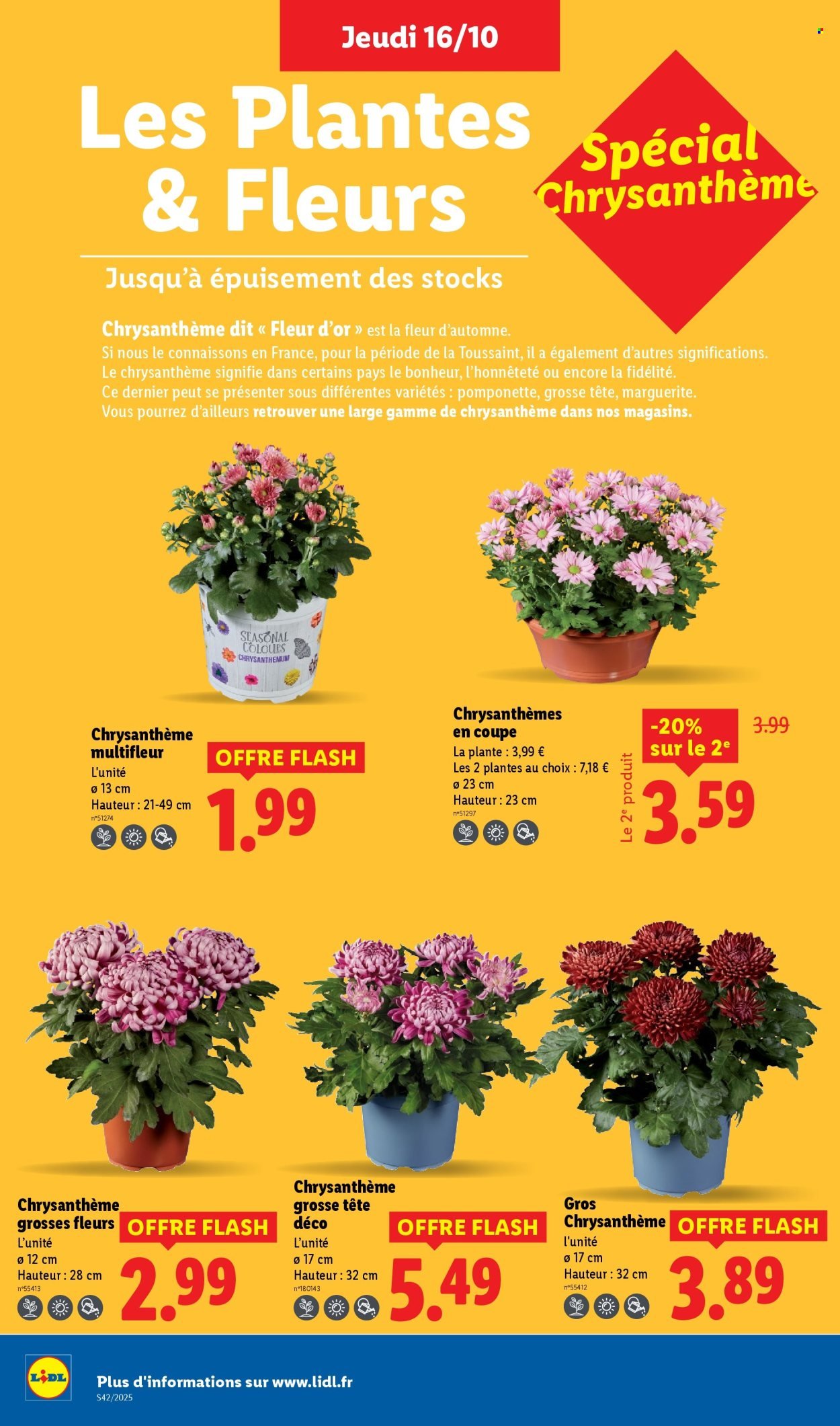 Catalogue LIDL - Les promos de la semaine (2025-10-16 - 2025-10-22)