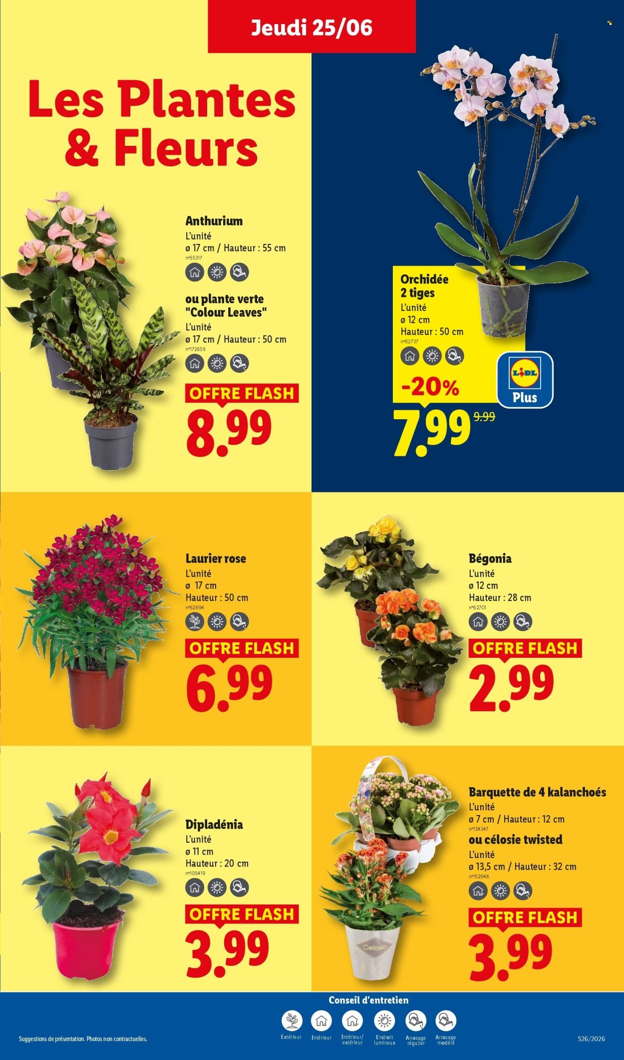 Catalogue LIDL - Les promos de la semaine