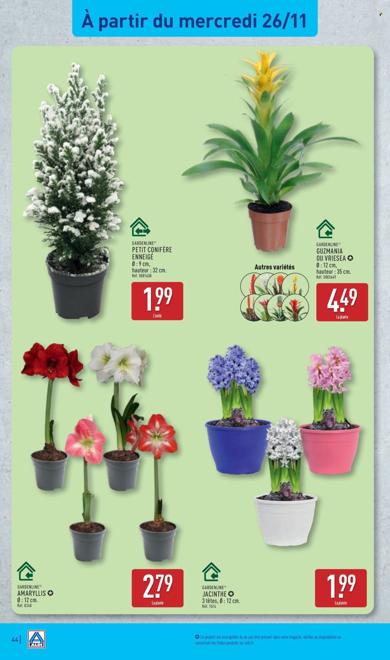 Catalogue ALDI - De bonnes fêtes à prix discount