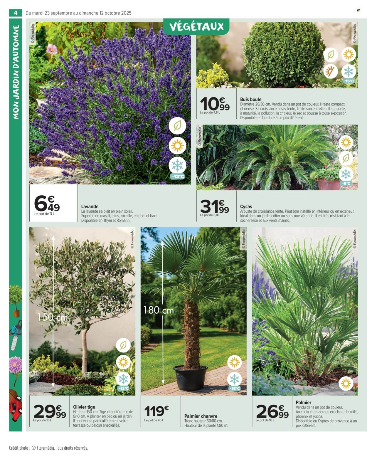 Catalogue CARREFOUR MARKET - PREPAREZ L'AUTOMNE - JARDIN ET BRICOLAGE (2025-09-23 - 2025-10-12)