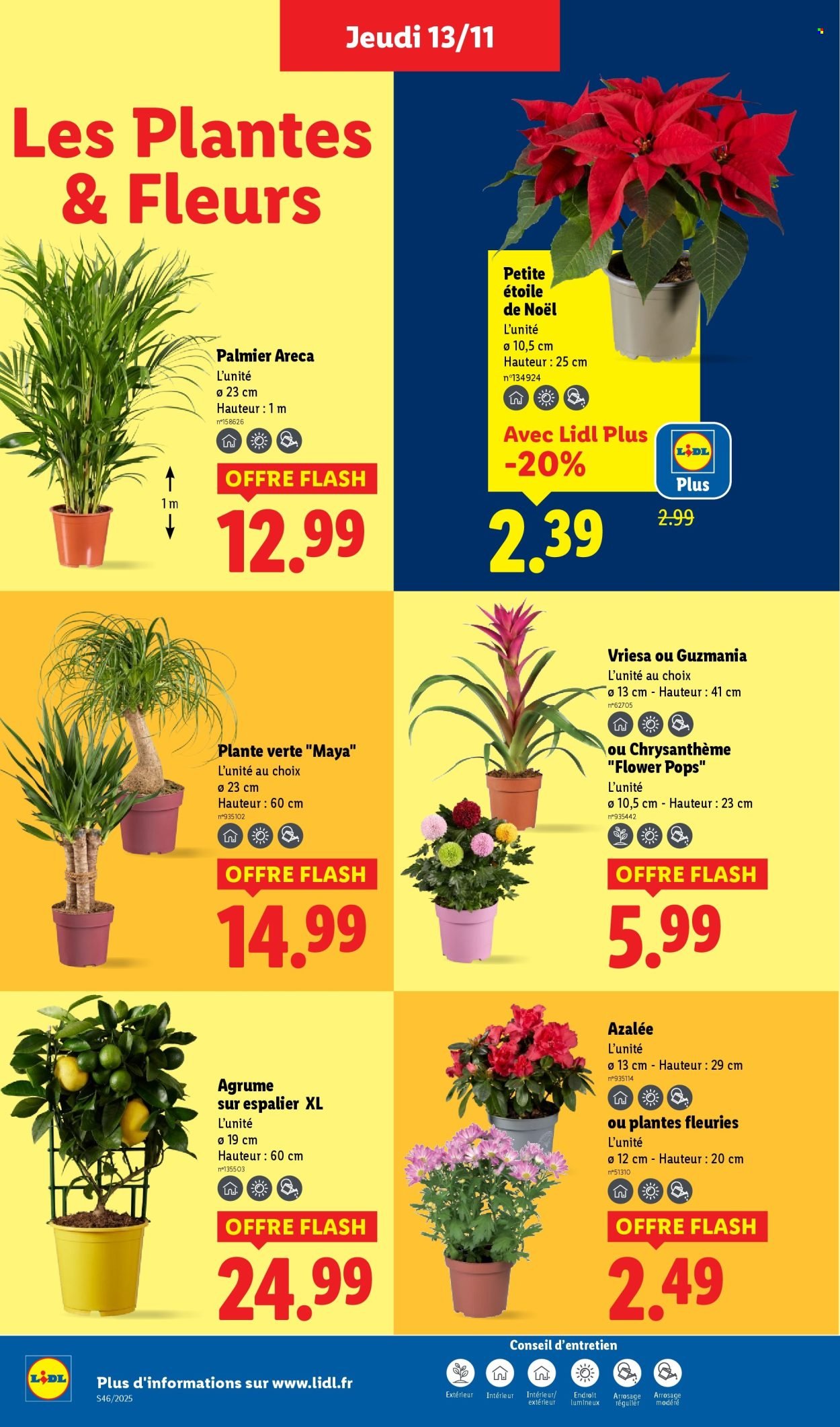 Catalogue LIDL - Les promos de la semaine