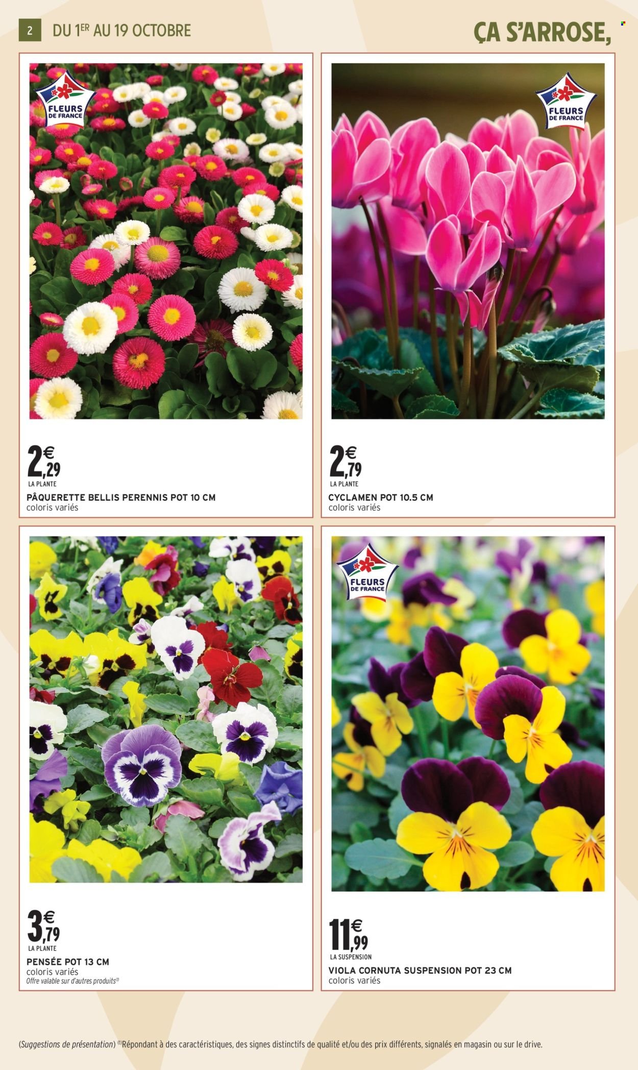 Catalogue INTERMARCHÉ - Jardin d'automne (2025-09-30 - 2025-10-19)
