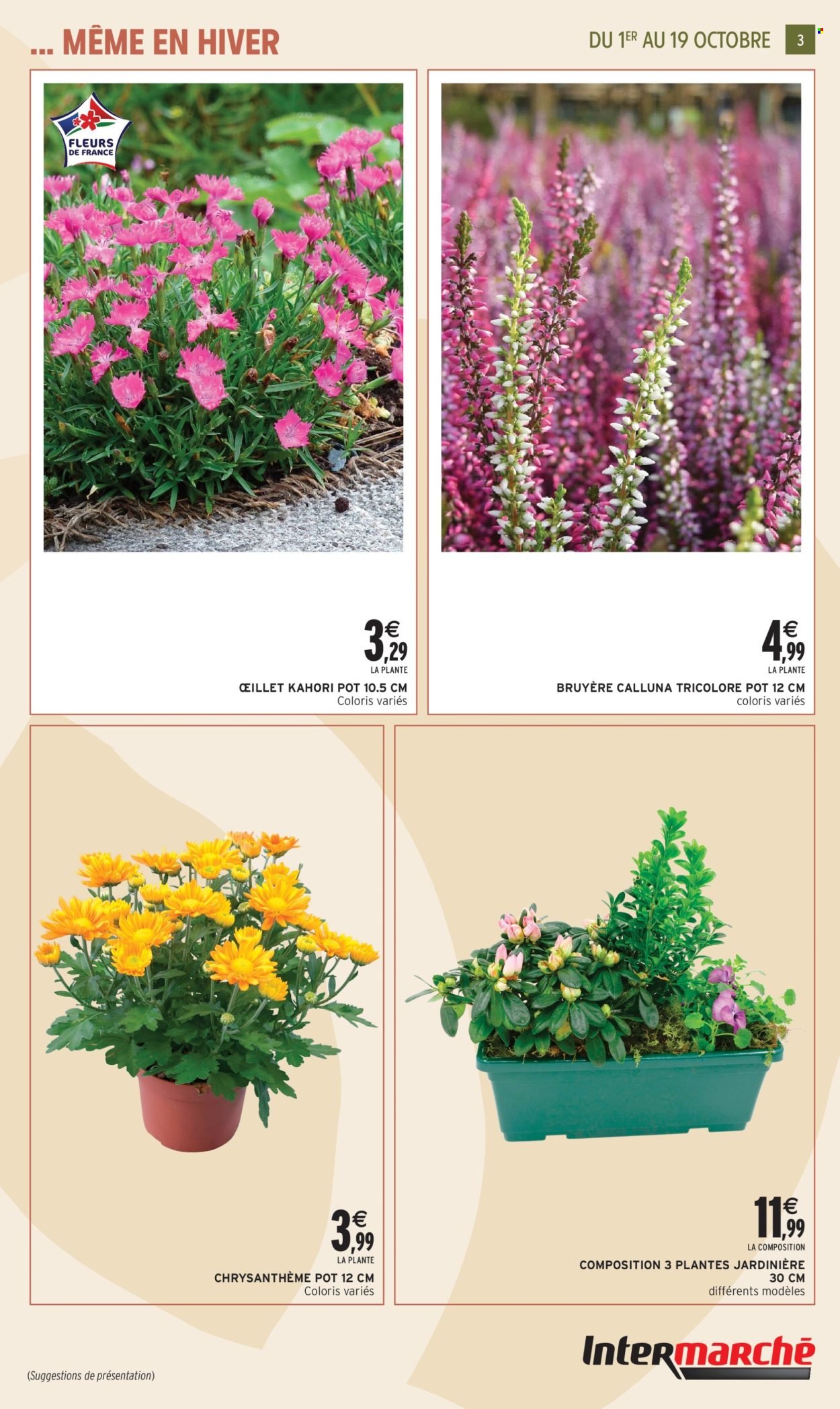 Catalogue INTERMARCHÉ - Jardin d'automne (2025-09-30 - 2025-10-19)