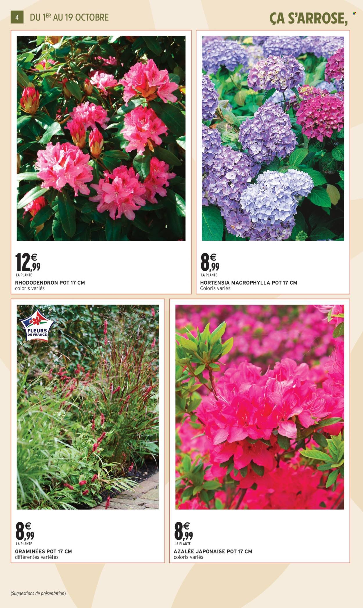 Catalogue INTERMARCHÉ - Jardin d'automne (2025-09-30 - 2025-10-19)